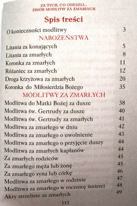 Za tych co odeszli zbiór modlitw ZA ZMARŁYCH 114s.